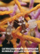 Las realizaciones en investigación. Sevillana de Electricidad. Grupo Pandora. Editor: Pedro Tabernero.